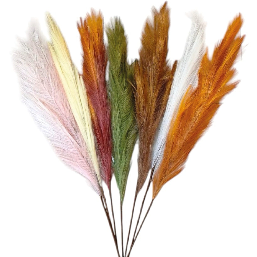 Pluma De Pajaro