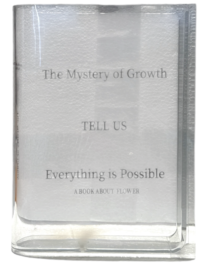 Florero De Acrilico - 18x15x4cm