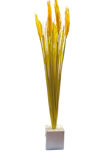 [6980000008067] Planta C/ Maceta Surtida - 62cm