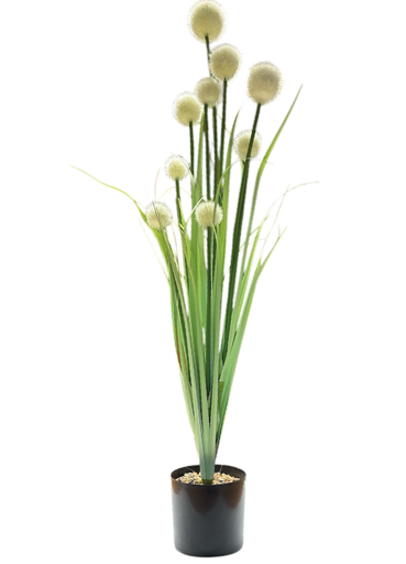 [6980000008050] Planta C/ Maceta Surtida - 95cm