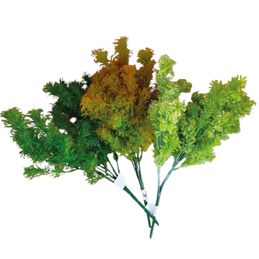 [2025010504513] Hierba Colorida