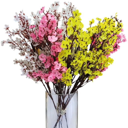 [2025010503417] Ilusiones