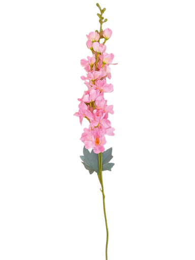 [IH201] Espuela De Caballero