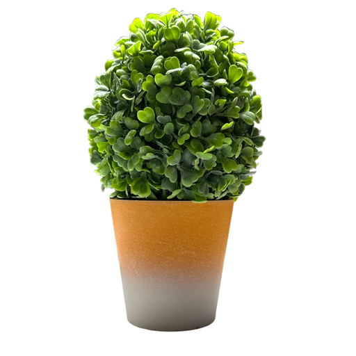 [6584599228198] Planta C/Maceta  - 9.5x18cm