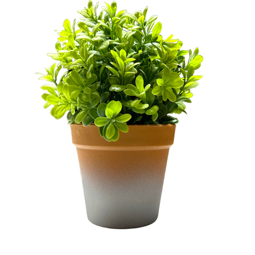 [6584599228181] Planta C/Maceta - 10.5x21cm