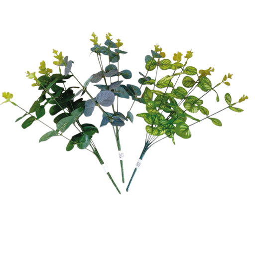 [2025010502519] Hojas Eucalipto