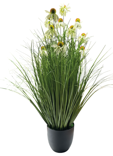 [698000000801] Planta Manzanilla - 90cm