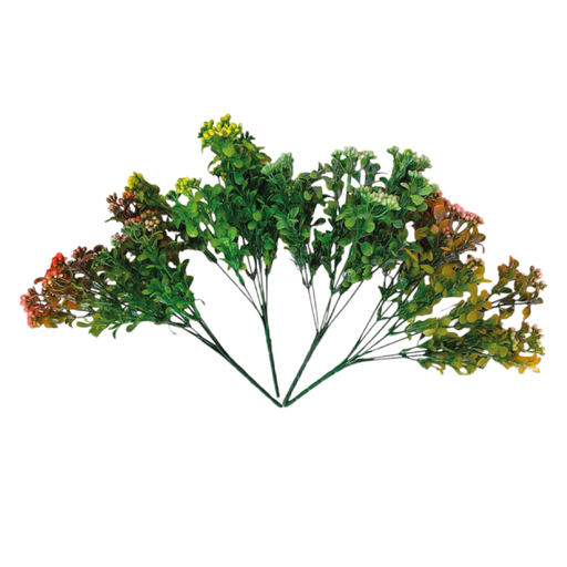 [2025010509518] Bayas