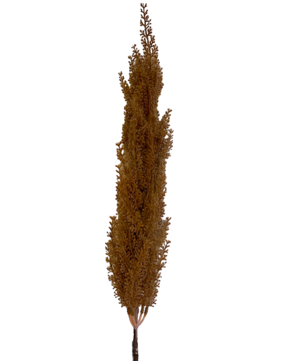 [4894616147886] Rama Artificial - 90cm