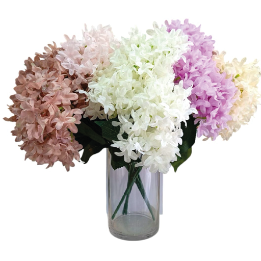 [2025010505411] Hortensias