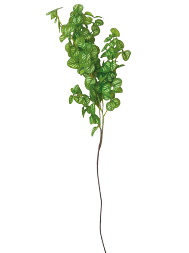 [2022010501382] Dinero